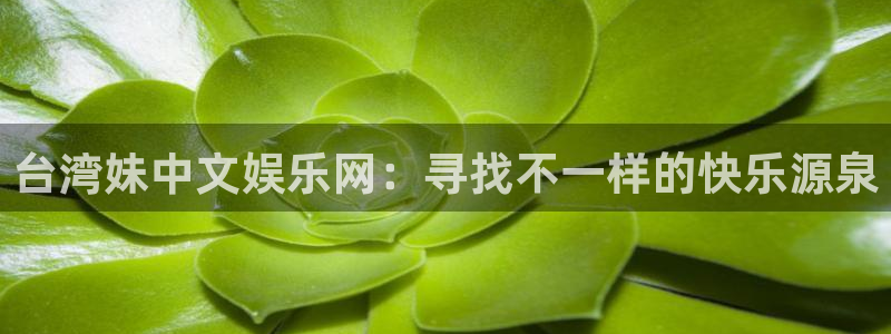星辉平台app：台湾妹中文娱乐网：寻找不一样的快乐源泉