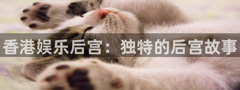 壹号电子娱乐app下载安装最新版本：香港娱乐后宫：独特的后宫故事