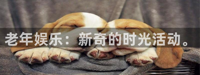 星辉平台电子游戏：老年娱乐：新奇的时光活动。