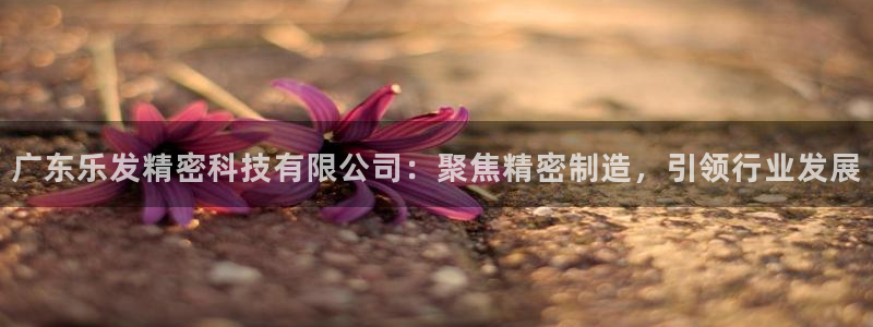 壹号平台下载安装官网：广东乐发精密科技有限公司：聚焦精密制造，引领行业发展