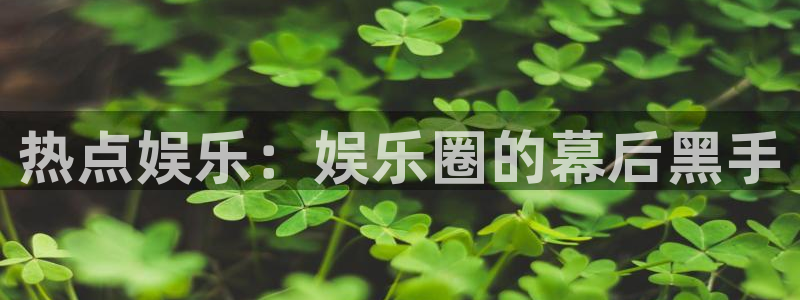 星辉平台游戏试玩：热点娱乐：娱乐圈的幕后黑手