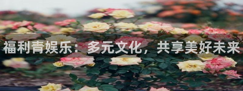 壹号平台下载安装：福利青娱乐：多元文化，共享美好未来