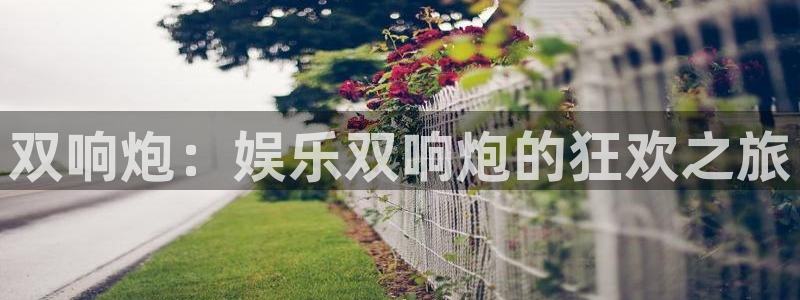 星辉平台下载链接是多少：双响炮：娱乐双响炮的狂欢之旅