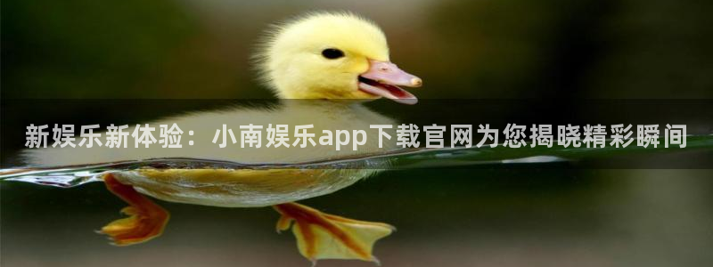 壹号app下载官网娱乐：新娱乐新体验：小南娱乐app下载官网为您揭晓精彩瞬间