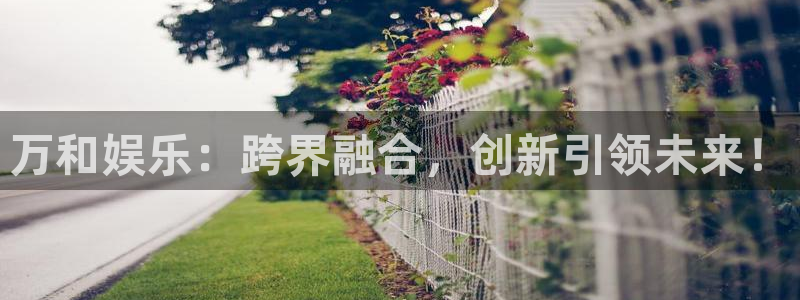 壹号app官网：万和娱乐：跨界融合，创新引领未来！