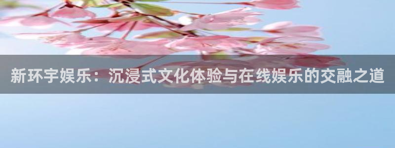 星辉平台官方app下载安装：新环宇娱乐：沉浸式文化体验与在线娱乐的交融之道