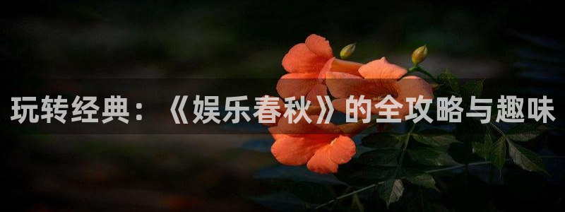 壹号大舞台28国际大舞台：玩转经典：《娱乐春秋》的全攻略与趣味