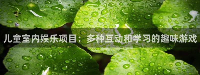 星辉平台怎么下载：儿童室内娱乐项目：多种互动和学习的趣味游戏