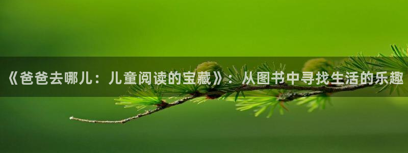 星辉平台平台官网入口