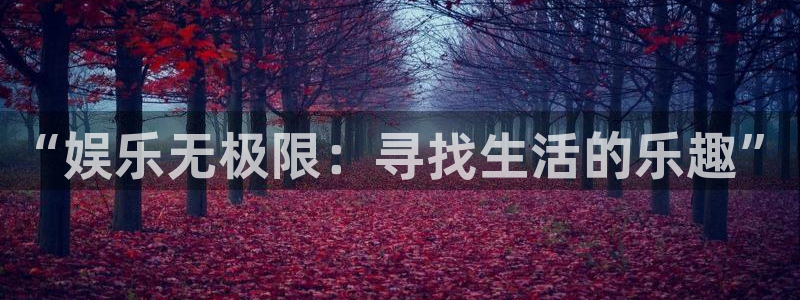 星辉平台加拿大在线预测