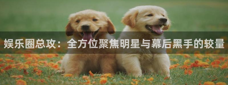 星辉平台电子游戏官网