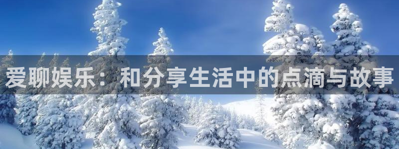 星辉平台官方网站下载