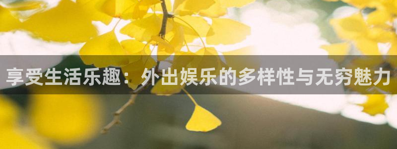 星辉平台注册网页版