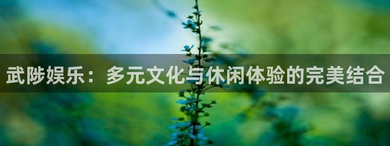 星辉平台电子娱乐官网下载