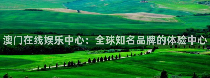 星辉平台在线预测