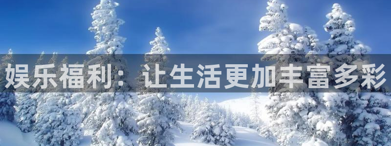 星辉平台,com