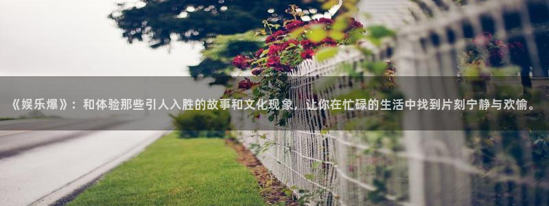 星辉平台app下载安装最新版