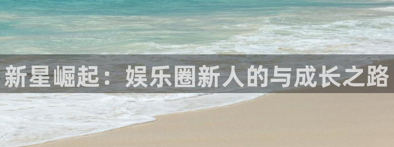星辉平台是啥
