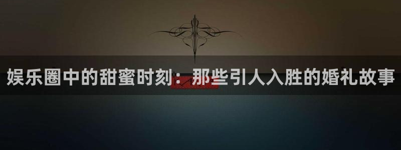 星辉平台注册官网入口