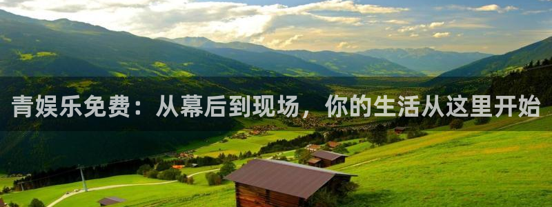 星辉平台手机版下载