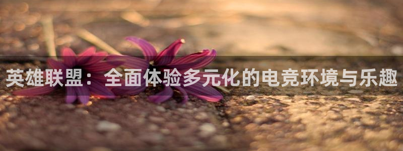 星辉平台app入口
