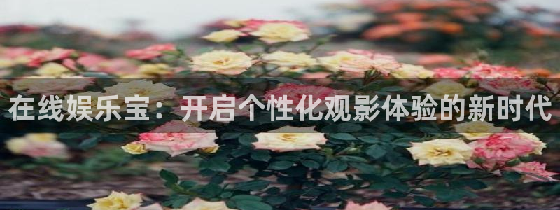 星辉平台app下载