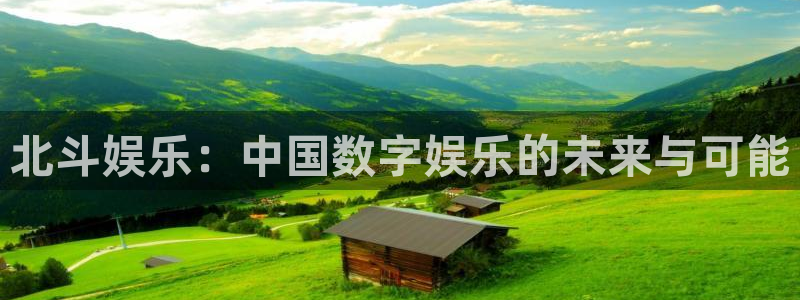 星辉平台下载