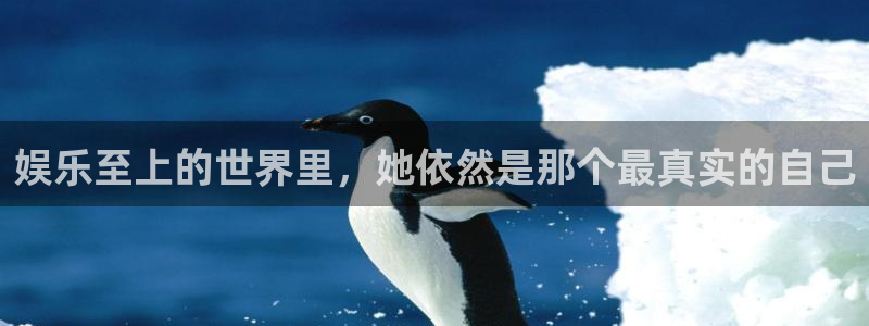 星辉平台平台最新版本下载