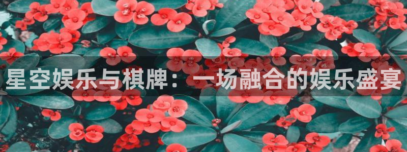 壹号app下载官网娱乐