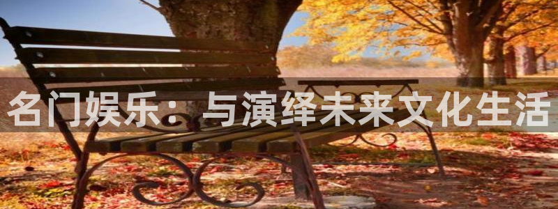 星辉平台,com