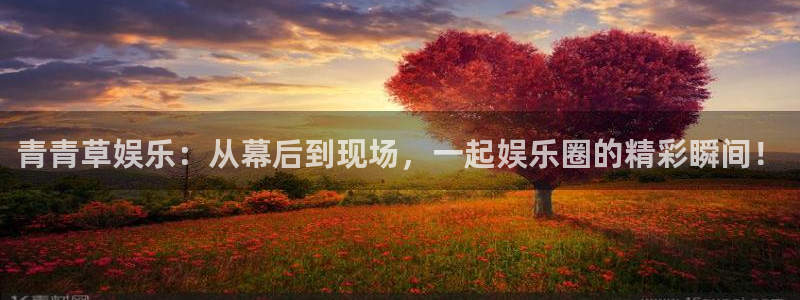 苹果版星辉平台下载安装