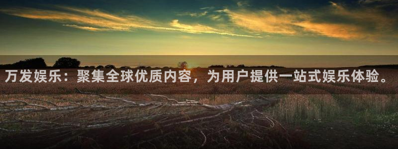 星辉平台官网版