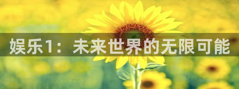 星辉平台ccm麻将胡了
