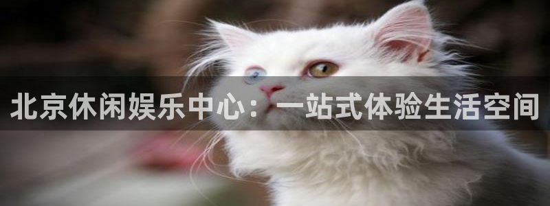 星辉平台.ccm