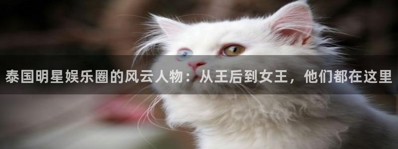 壹号大舞台
