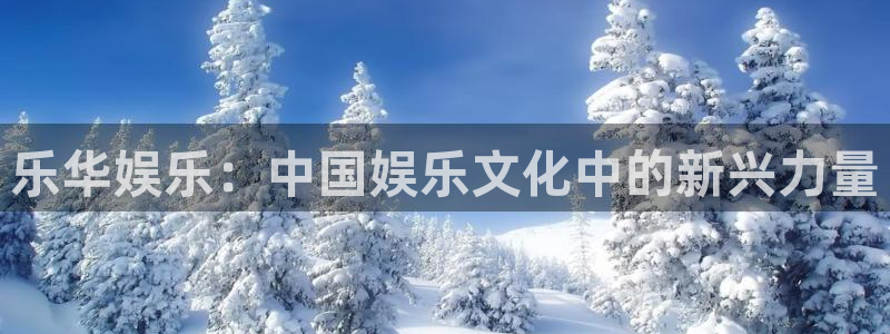星辉平台登录网：乐华娱乐：中国娱乐文化中的新兴力量